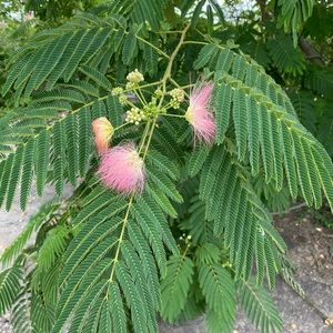 Meet your Posher, Jeremy